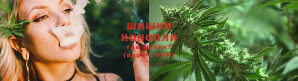 гидра Абаза