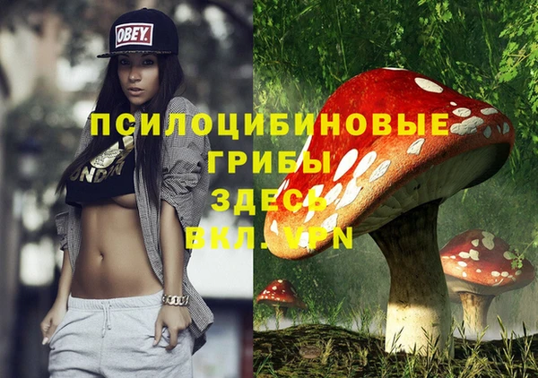 бошки Алзамай