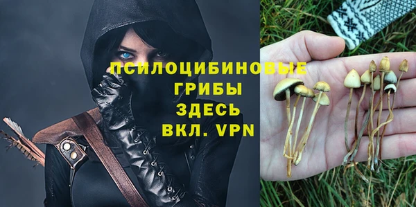 сатива Алексин