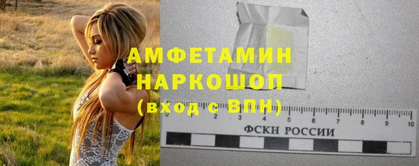 гидра Абаза