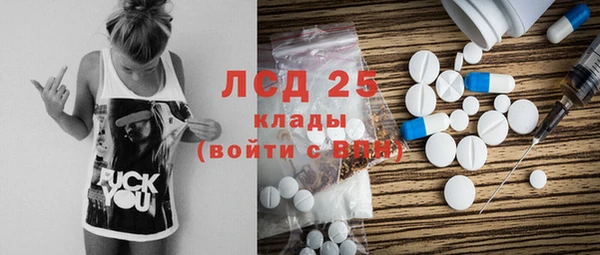 гидра Абаза