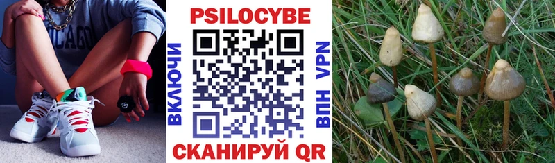 Псилоцибиновые грибы Magic Shrooms  mega онион  Миллерово 